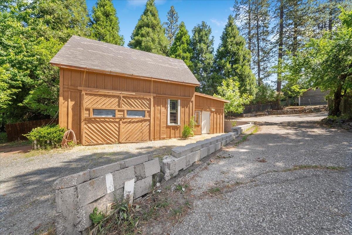Outbuilding and gravel drive beneath the pines